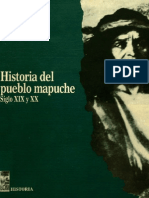 Historia Del Pueblo Mapuche