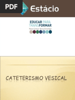 Sondagem Vesical 2015