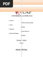 Agua Virtual