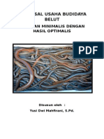 Proposal Usaha Budidaya Belut