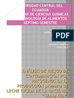 Analisis de Riesgos Microbiologicos de Contaminación Por Patógenos en El Proceso Primario de Leche Cruda