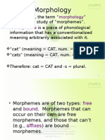 Morphology