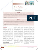 11 - 212tumor Phyllodes