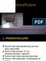 Hepatoma (revisi)