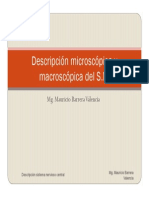 Descripcion Microscopica y Macroscopica Del Snc