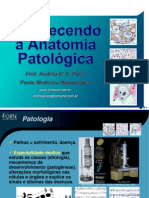 AnatPat PDF