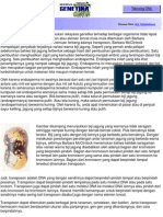 Transpo Son PDF