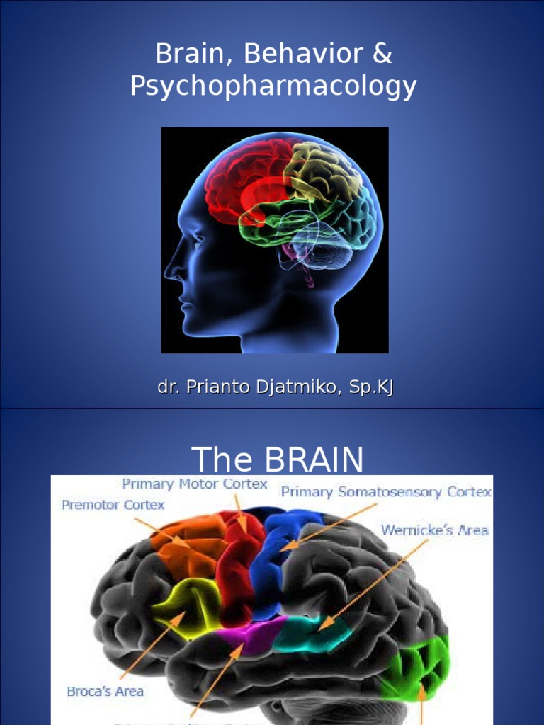 Brain, Behavior & Psychopharmacology | PDF | Antipsychotic | Antidepressant