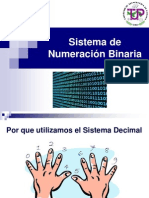Sistema Binario
