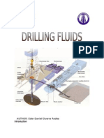 Drilling Fluids