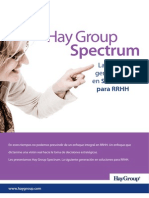 Hay Group Spectrum