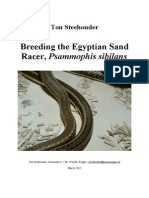Steehouder2015-Breeding The Egyptian Sand Racer, Psammophis Sibilans