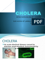Cholera: Intan Norhaslina BT Hassan 571543043 Nur Aisyah BT Jamaludin 57154313195