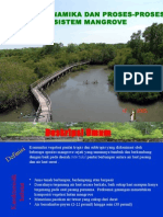 Dinamika Dan Proses Ekosistem Mangrove