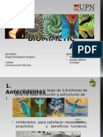 La Biomimetica Exposicion (1)