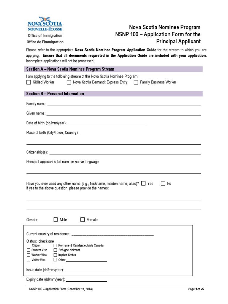 NSNP 100 Application Form Guide | PDF | International English Language ...