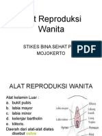 Alat Reproduksi Wanita