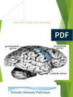 Jaras Motorik Dan Sensorik