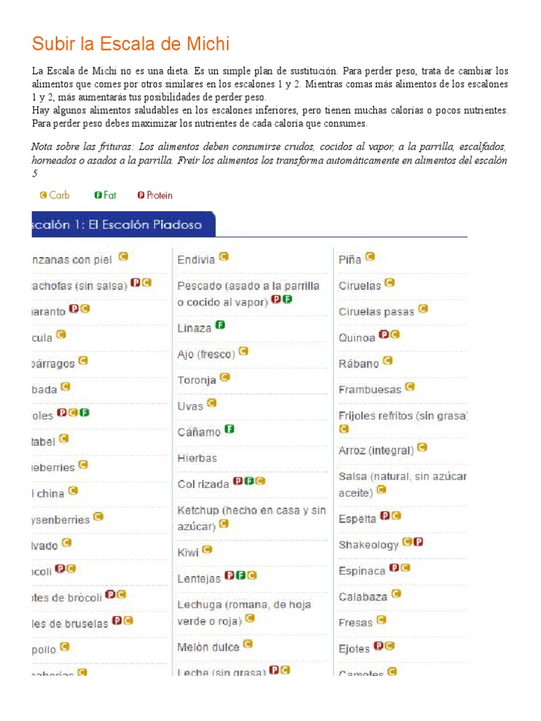 Plan de Sustitución: Escala de Michi | PDF