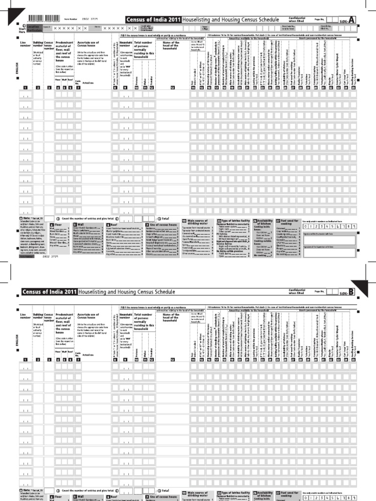 Census Questionnaire2 | PDF