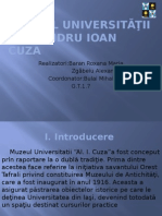 Proiect Muzeu