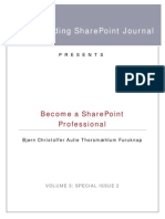 Becoming A Share Point Professional