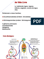 Amebas livres habitats, gêneros e doenças
