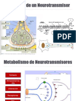 Exposicion de Neurotransmisores