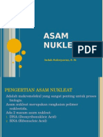 Asam Nukleat