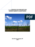 Diagnóstico Do Projeto de Assentamento Dom Pedro (S. Felix Do Araguaia/MT)