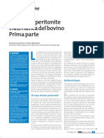 32 Reticolo Peritonite I