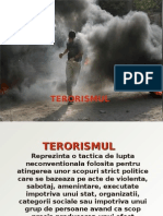 64798073-Terorism-PPT