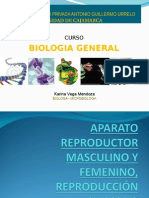 Aparato Reproductor