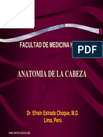 Anatomia Cabeza