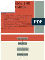 Biokimia Metabolisme Pirimidin