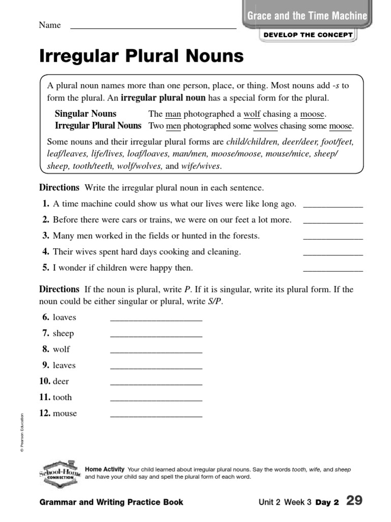 irregular-plural-nouns-plural-grammatical-number