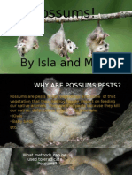 Possums!: by Isla and Mia