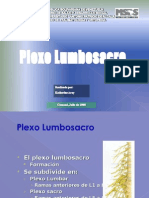 Plexo lumbosacro anatomia 