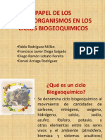 125193680 Papel de Los Microorganismos en Los Ciclos Biogeoquimicos (1)