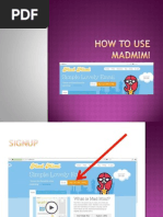 AMADOR_LIM_JR_How to use madmimi’s.pdf