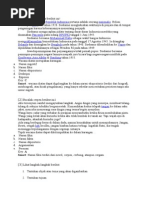 Download Soal Teks Eksposisi Muhammad Saefudin by Muhamad Saefudin SN260126456 doc pdf