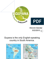 Country Analysis Sherwin Damdar Guyana Final