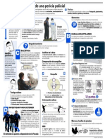 Infografia Proceso de Investigacion Pdi