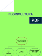 Introduccion A La Floricultura