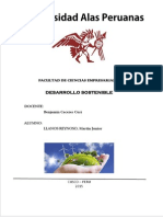 Desarrollo Sostenibe PDF