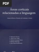 Apresentação neuro anato