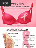 anatomia da mama.pdf