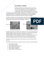 Fundicion Nodular