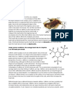 Daphnia Practical Write Up