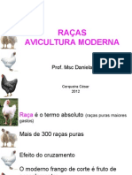 RACAS Aves Aula3